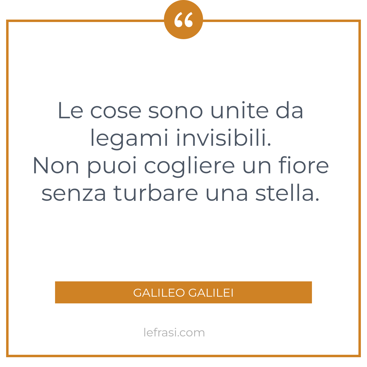 La Vita che Ami - Le cose sono unite da legami invisibili. Non puoi  cogliere un fiore senza turbare una stella. (G. Galilei)