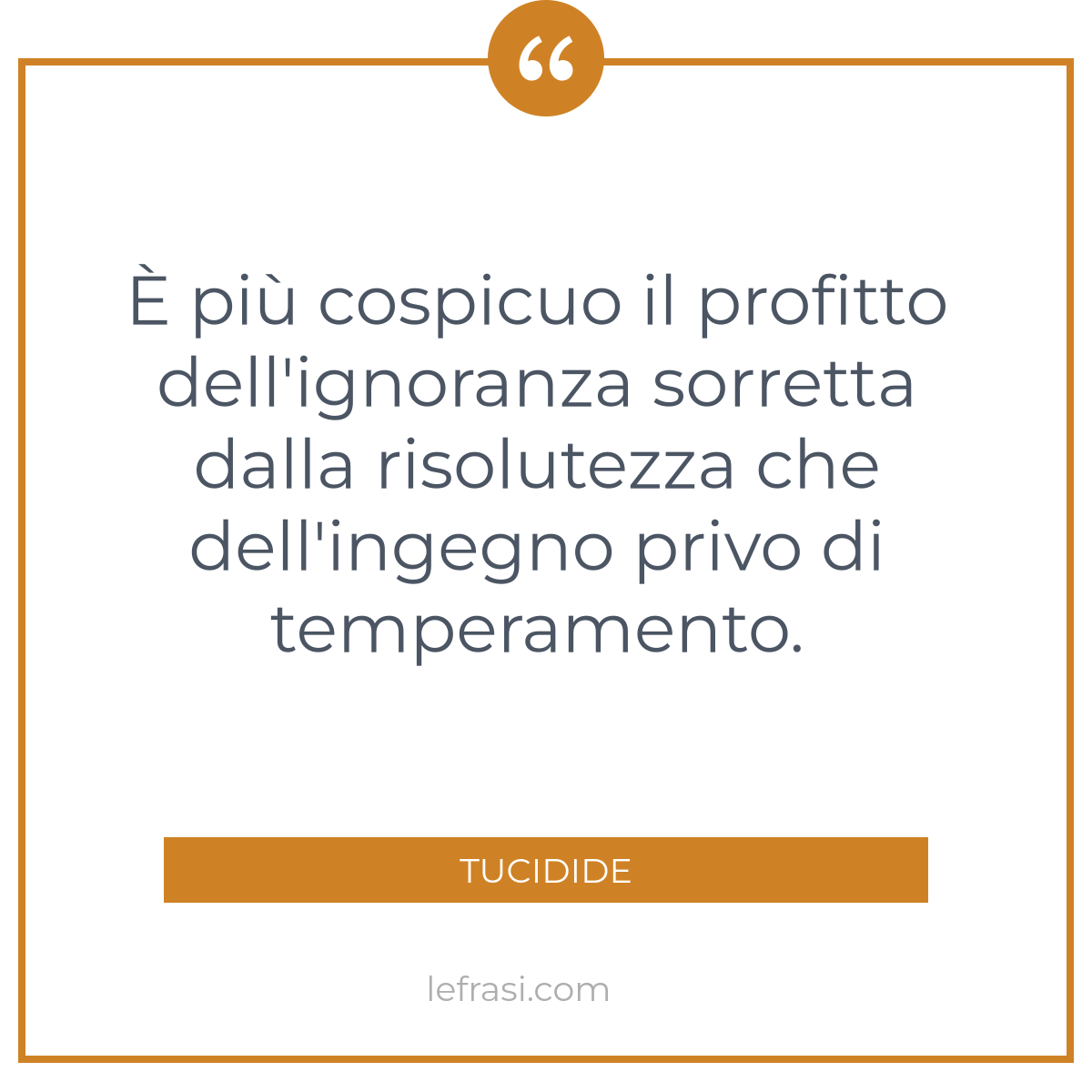 E Piu Cospicuo Il Profitto Dell Ignoranza Sorretta Dall